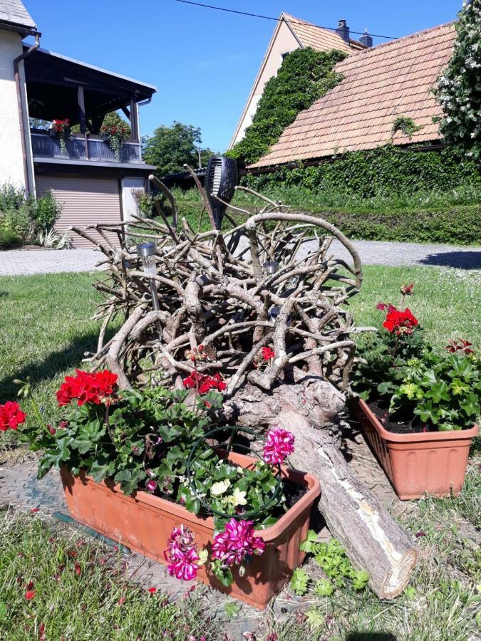 Fewo Hoyer Apartment Hinterhermsdorf Bagian luar foto
